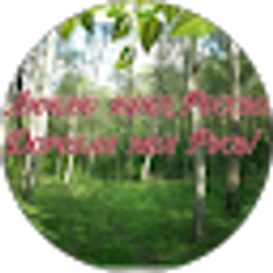 Profile photo of Душа Русская