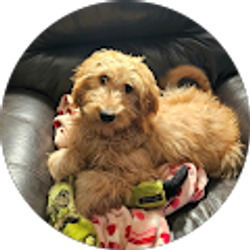 Profile photo of Lisa Blair