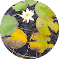 Profile photo of Susan