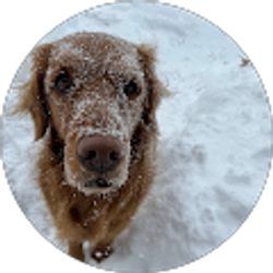 Profile photo of Ian Vonschulze