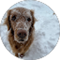 Profile photo of Ian Vonschulze