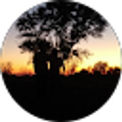 Profile photo of Lettie Viars