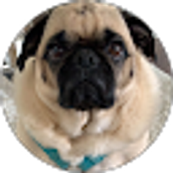 Profile photo of Sarah Taylor