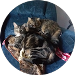 Profile photo of Jammie Davis