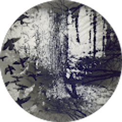 Profile photo of Linzie Grotesque