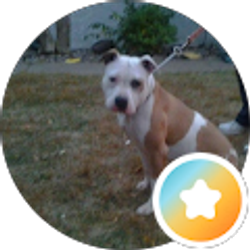 Profile photo of Lisa Wolfe