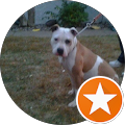 Profile photo of Lisa Wolfe