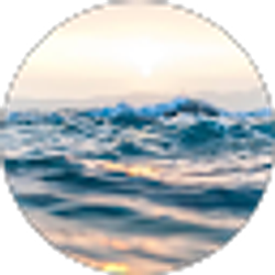 Profile photo of Sandra E