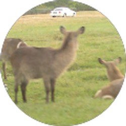 Profile photo of Jose Quesada