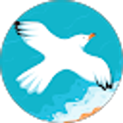 Profile photo of Deborah Nolan