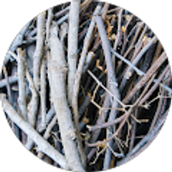 Profile photo of Oswurth