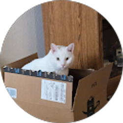 Profile photo of Nanette Sneed