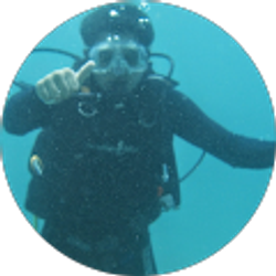 Profile photo of carlos vallee