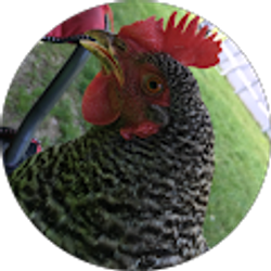 Profile photo of Dylan Ricard