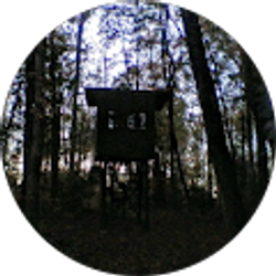 Profile photo of Big K