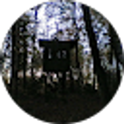 Profile photo of Big K