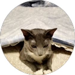 Profile photo of Mary Ann Braycich