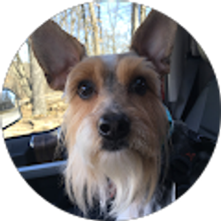 Profile photo of Jimbo Jam68