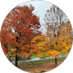 Profile photo of Richard Hwang