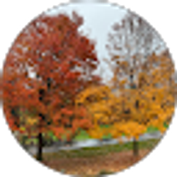 Profile photo of Richard Hwang