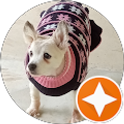 Profile photo of Amy