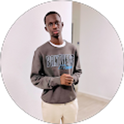 Profile photo of Babucarr Bojang