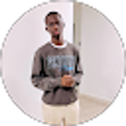 Profile photo of Babucarr Bojang