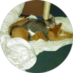 Profile photo of amber bruner