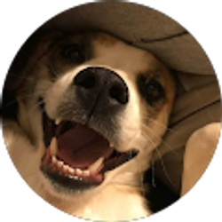 Profile photo of Joel Preston Bunn