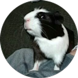 Profile photo of Jonathan Boone