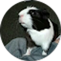 Profile photo of Jonathan Boone