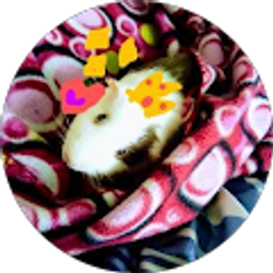 Profile photo of Hatchetwolf Bailey