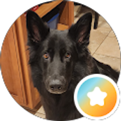Profile photo of brandt lippincott