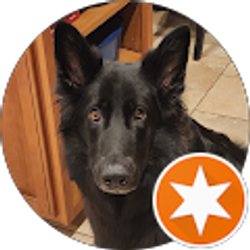 Profile photo of brandt lippincott