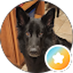 Profile photo of brandt lippincott