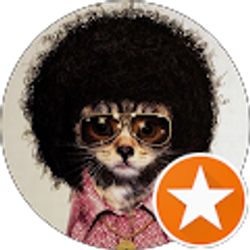 Profile photo of Dalia, The Bass Girl!