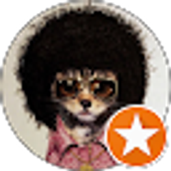 Profile photo of Dalia, The Bass Girl!