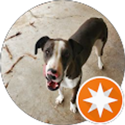 Profile photo of Rene Solis