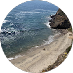 Profile photo of Thomas Barrera