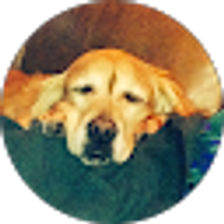 Profile photo of Grant Holle