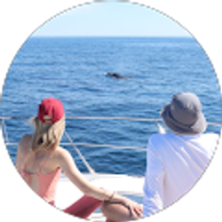 Profile photo of Jana Reed