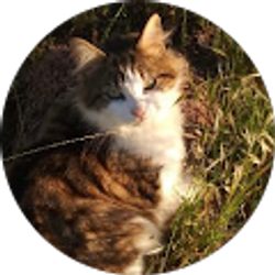 Profile photo of Mia Munive