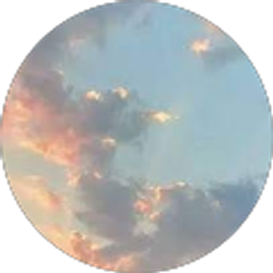 Profile photo of Denise Palacios