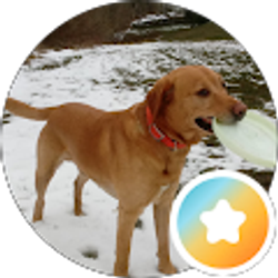 Profile photo of Ernest Toth