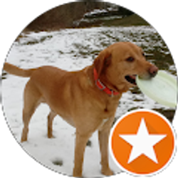 Profile photo of Ernest Toth