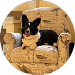 Profile photo of Sandy Carr