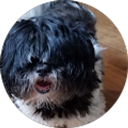 Profile photo of Cindi Miller