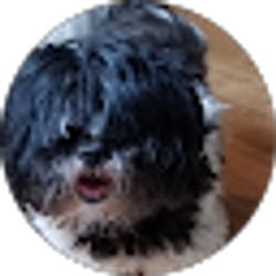 Profile photo of Cindi Miller