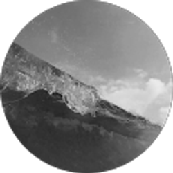 Profile photo of Adam Alston