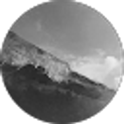 Profile photo of Adam Alston